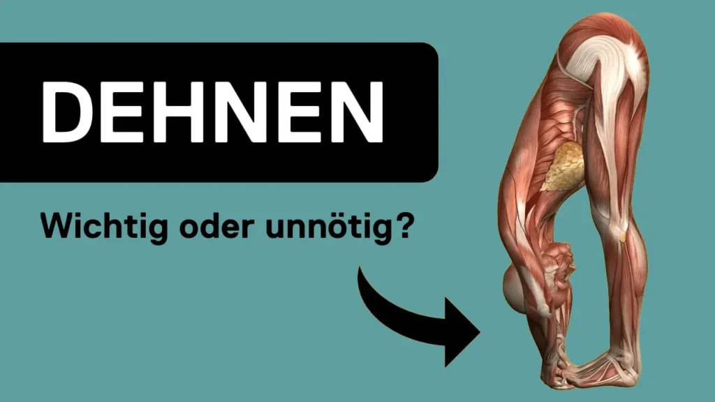 Ist Dehnen wichtig oder unnötig