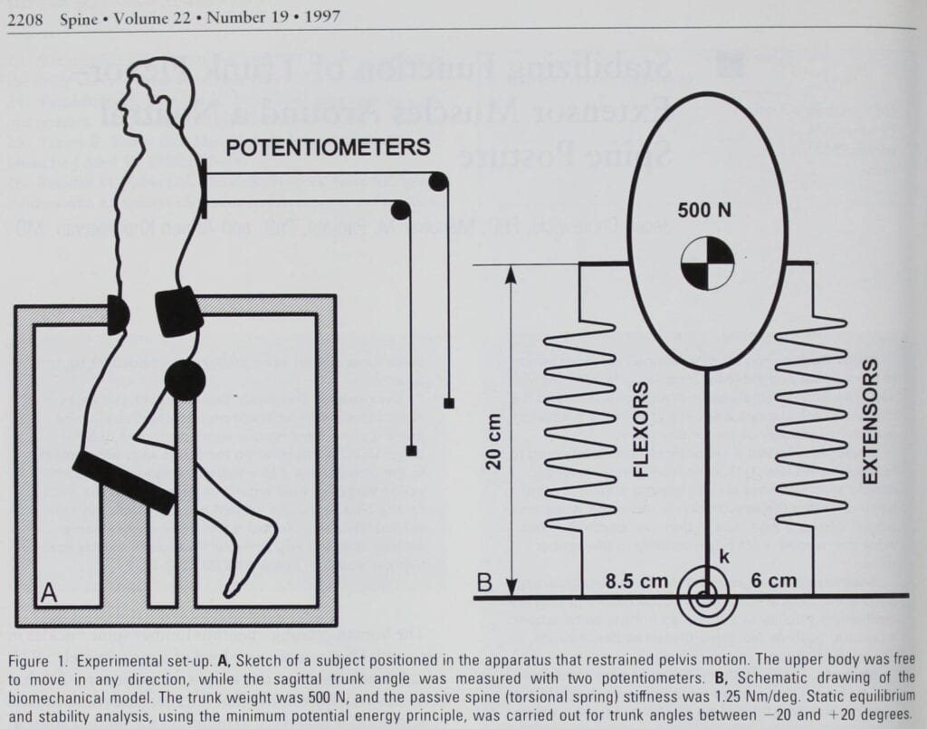 Die beste Übung gegen Rückenschmerzen - Cholewiki et al. 1997